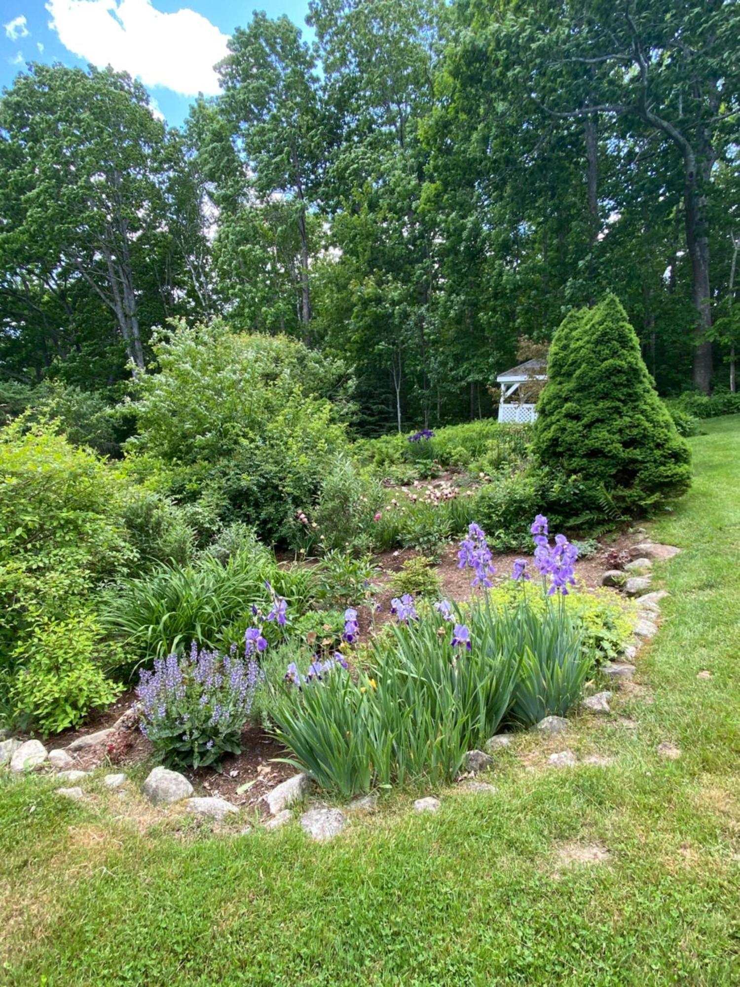 Bed and Breakfast Victorian By The Sea Lincolnville Exterior foto